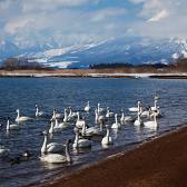 Lake Inawashiro