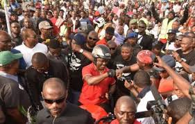 Image result for calabar carnival 2015
