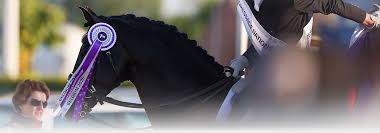 | Eurodressage - News update