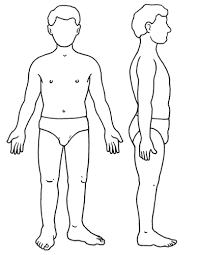 Resultado de imagen para cuerpo humano