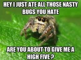 Ok, cure me please: SPIDERS! - Page 5 Images?q=tbn:ANd9GcR1XgqaTRt-C41c4j43n1Wy4lqajij3vDW-I5vufxaOBVm1zX7B