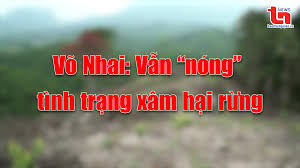 Góc nhìn cuối tuần ngày 1/12/2024: Võ Nhai vẫn 