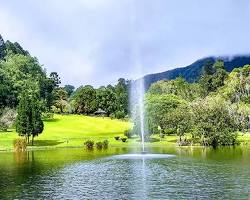 Image of Kebun Raya Cibodas Cianjur