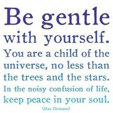 Image result for desiderata