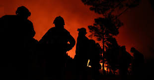 Reuters - News update