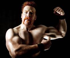 Image result for sheamus