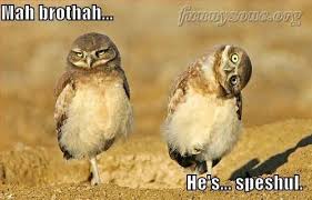 Brothers and Sisters on Pinterest | Brother Quotes, Brother and ... via Relatably.com