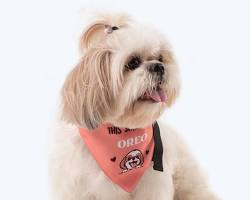 dog wearing a bandana with their name on itの画像