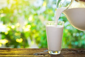Kết quả hình ảnh cho MILK