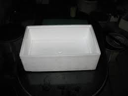 Image result for RAU MẦM CẢI XANH