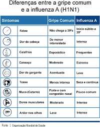 Resultado de imagem para gripe h1n1