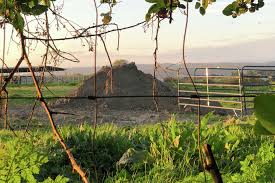 She bought a NorCal Victorian, and then found a mass dog grave next door
