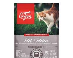 オリジン フィット＆トリム キャット cat foodの画像