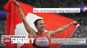 Schweizer Radio und Fernsehen - News update