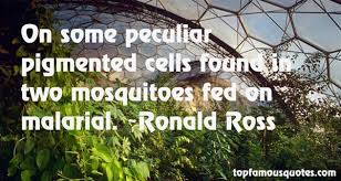 Malaria Quotes: best 24 quotes about Malaria via Relatably.com