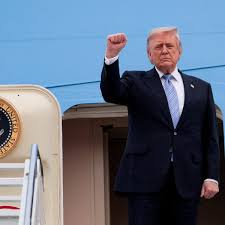 Democratic strategist predicts Trump will leave White House after ‘massive rejection’