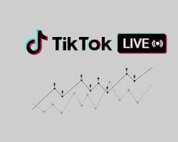 Imagem de TikTok Live Engagement Tools