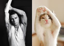 Image result for men and cats tumblr