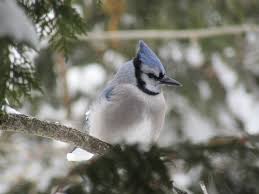Ontario Weather Alerts and Forecasts: February 2026