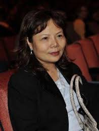 Image result for wu ping house china