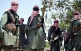 Image result for photos of boko haram members