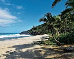 Image de Plage de Grande Anse, La Réunion