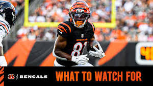 Cincinnati Bengals players preparing for the Eagles game