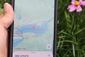 Maps Google