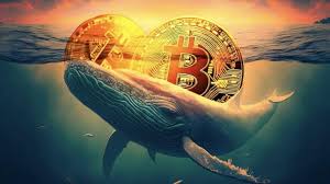 Webitcoin - News update