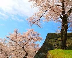 盛岡城跡公園の画像