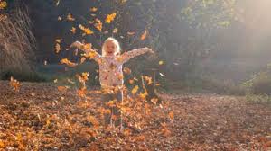 Fall Equinox 2025: Get Ready for Equal Day & Night! (Rituals Inside)