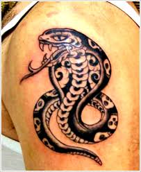 Image result for black cobra with sweet girl
