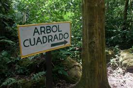 Resultado de imagen de valle de anton ubicacion