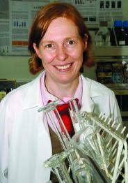 Professor Yvonne Perrie - getresource