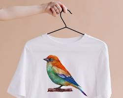 Imagen de Camiseta de serigrafía cuatricomía