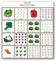 Vegetable Garden Planner and Garden Design Software