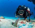 Cancun Scuba Center. Scuba Diving Courses. PADI Certificates