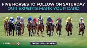 Racing TV - News update