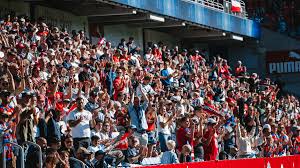 Helsingborgs IF - News update