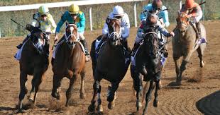 Image result for The 2015 Blue Grass Stakes from Keeneland