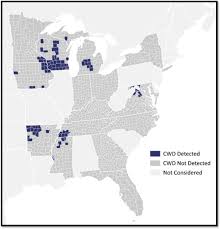 Predicting Chronic Wasting Disease in White-Tailed Deer Using Machine Learning at the County Level - 1