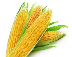 Corn