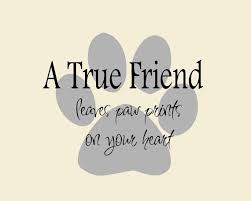 A True Friend... Leaves Paw Prints on Your Heart Dog Quote Vinyl ... via Relatably.com