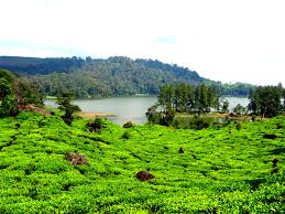 Hasil gambar untuk foto wisata bandung selatan ciwidey