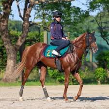 日刊ゲンダイ競馬 - News update