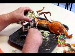 Image result for blue crabmeat