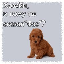 images?q=tbn:ANd9GcR3tG18z17fNqeNXbHrRQKPNMS4_QqxSyTlryyNRqhkMI5Zmx80kw