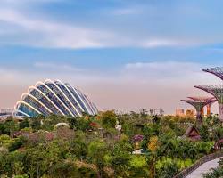 Immagine di Gardens by the Bay, Singapore