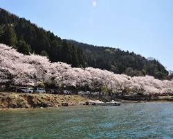 海津大崎 マキノ町の画像
