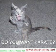 Funny Karate Jokes, Quotes and One-Liners via Relatably.com